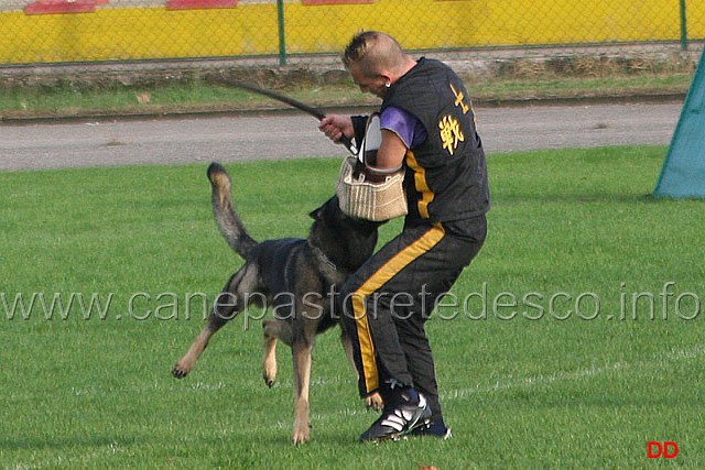 142.jpg - Ex. Attacco al cane durante la condotta da dietro.