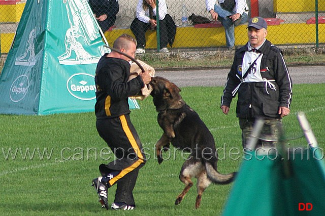 144.jpg - Ex. Attacco al cane durante la condotta da dietro.