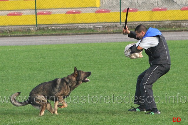 145.jpg - Ex. Attacco lanciato.