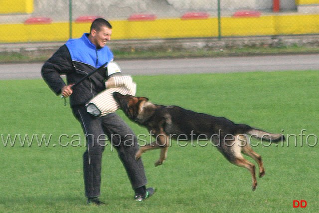 146.jpg - Ex. Attacco lanciato.