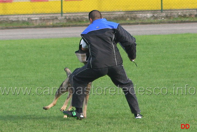 147.jpg - Ex. Attacco lanciato.