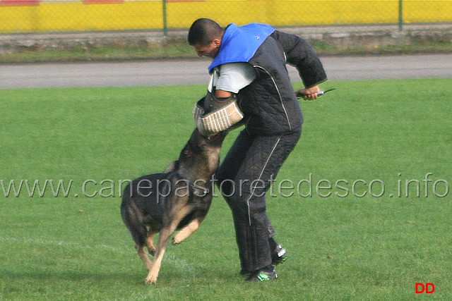 148.jpg - Ex. Attacco lanciato.
