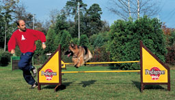 agility2