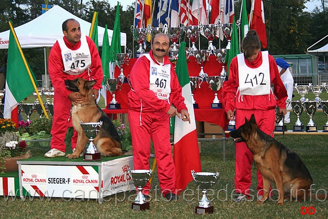 022.jpg - Giovani femmine Siegerin Gerryval Reina, 2 Promessa Patty della Cerza (non c'è la cagna), 3 Promessa Brady du Val d'Anzin