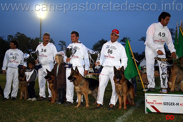 038.jpg - Il Sieger Hero di Camporeale, Vicesieger Roy delle Terrae Lupiae, 3 Auslese Salvo Kraichbach, 4 Auslese Ferro Hohen Zeile, 5 Auslese Tryp della Baia Imperiale