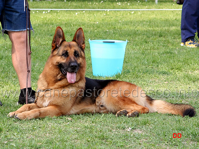057.jpg - Salvo si rilassa
