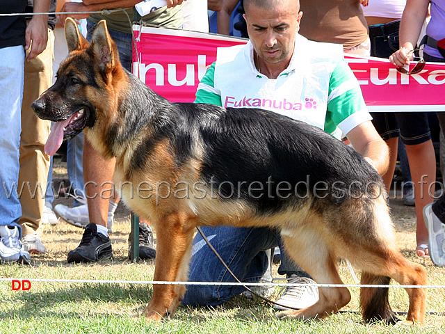 020.jpg - Classe baby maschi Pako dell'Isolotto 1 classificato