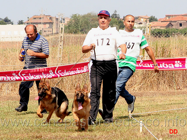 024.jpg - Classe Juniores femmine Bera di Casa Paone e Ania degli Achei