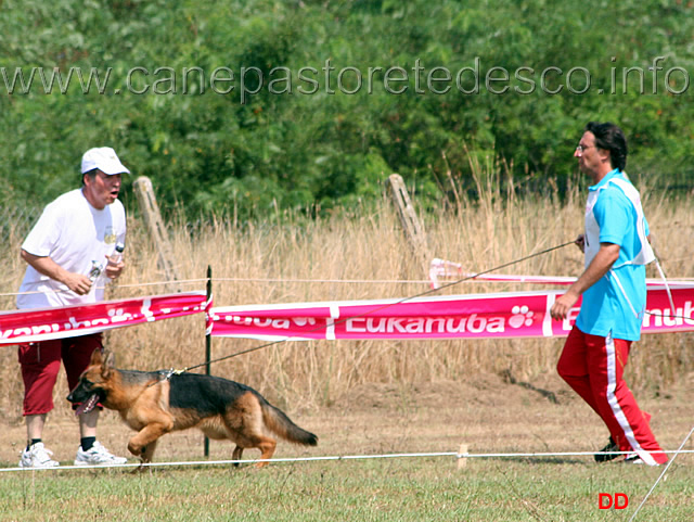 028.jpg - Classe Juniores femmine Brenda di Camporeale