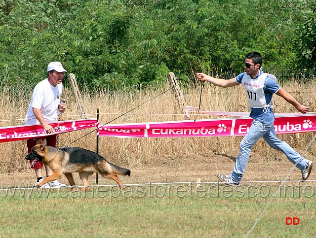 029.jpg - Classe Juniores femmine Birke di Camporeale