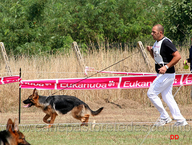 030.jpg - Classe Juniores femmine Thabata del Palatium Parvum