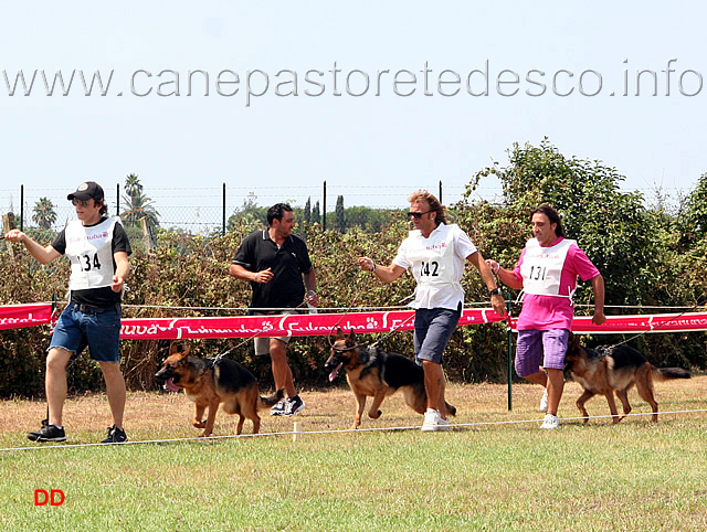 069.jpg - Classe Cucciolone femmine King del Rione Antico, Lussy, Beta
