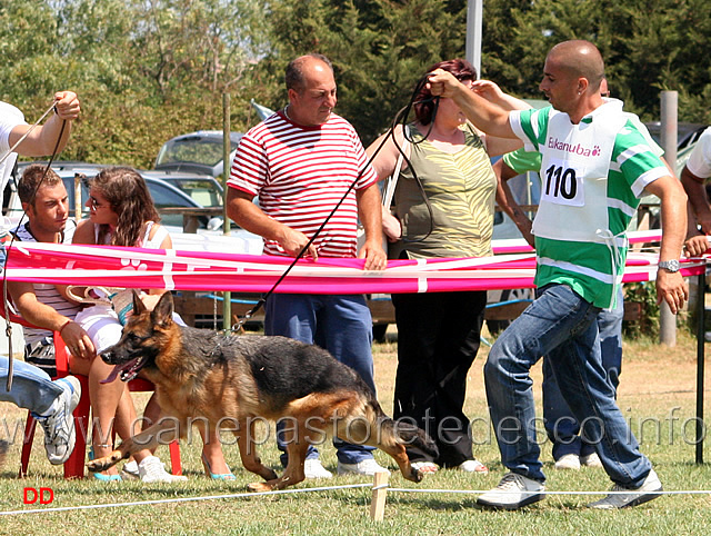 107.jpg - Giovanissime femmine. Maty della Gens Pontina