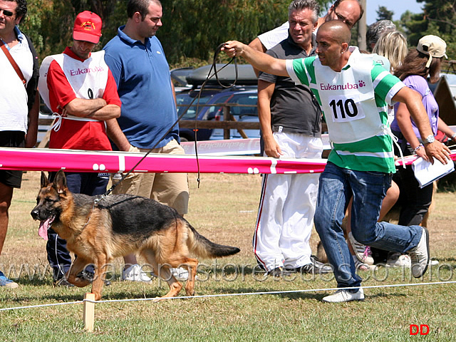 108.jpg - Giovanissime femmine. Maty della Gens Pontina