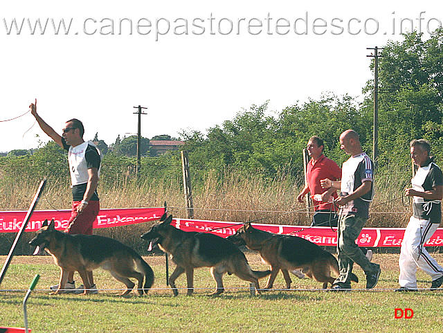 231.jpg - Classe Lavoro maschi Baggio Alto Ofanto, Bart degli Osci, Genny Valentinientis