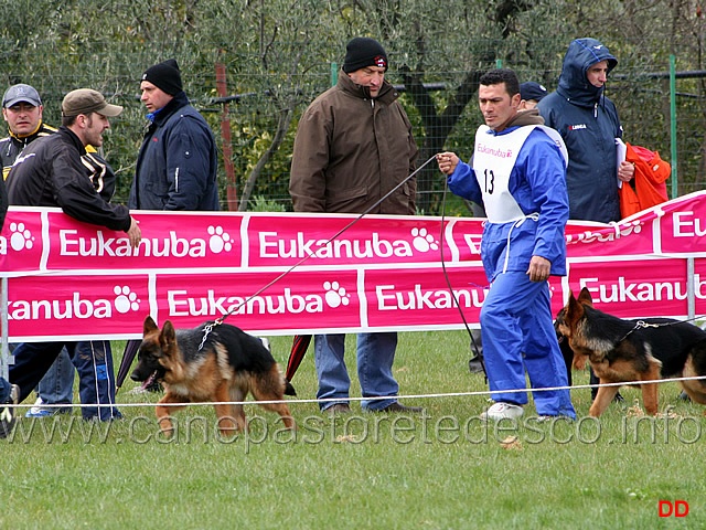 026.jpg - Juniores femmine Beta