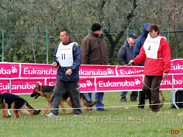 028.jpg - Juniores femmine Xabbia del Miglio d'Oro