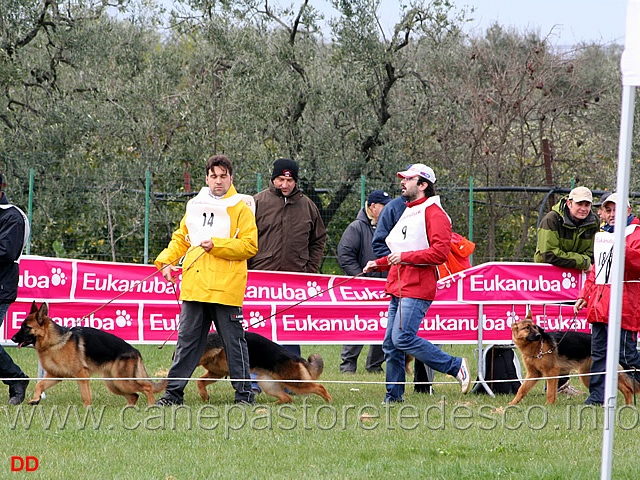 032.jpg - Classe Juniores femmine