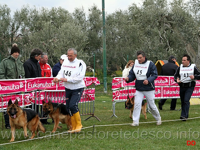 048.jpg - Cucciolone femmine