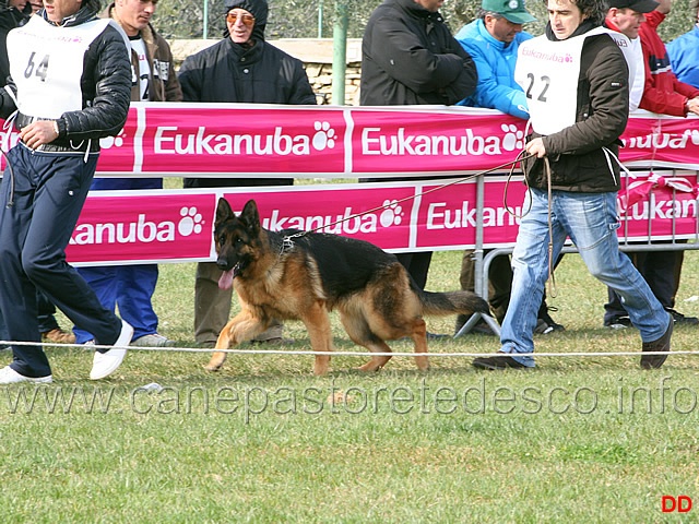 076.jpg - Giovanissime femmine Bea del Settimo Giorno