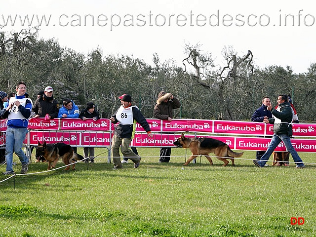 095.jpg - Giovanissimi maschi