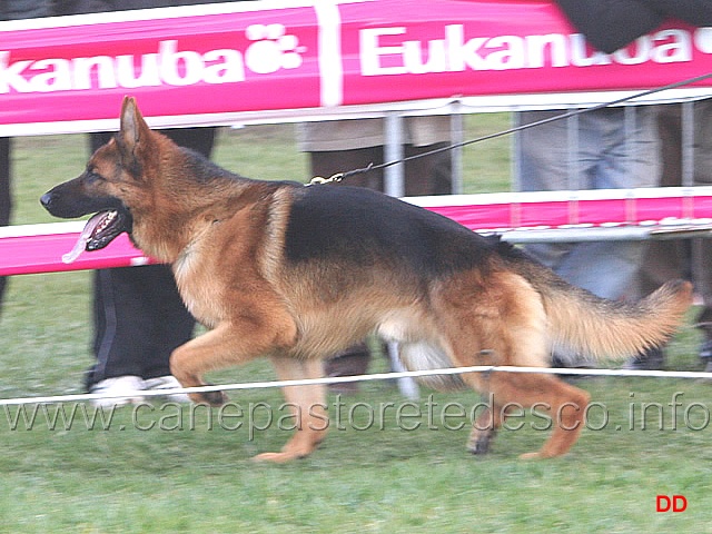 099.jpg - Giovanissimi maschi Rademberg