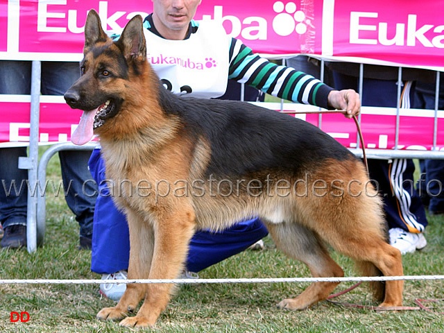 104.jpg - Giovanissimi maschi 2 Vasco