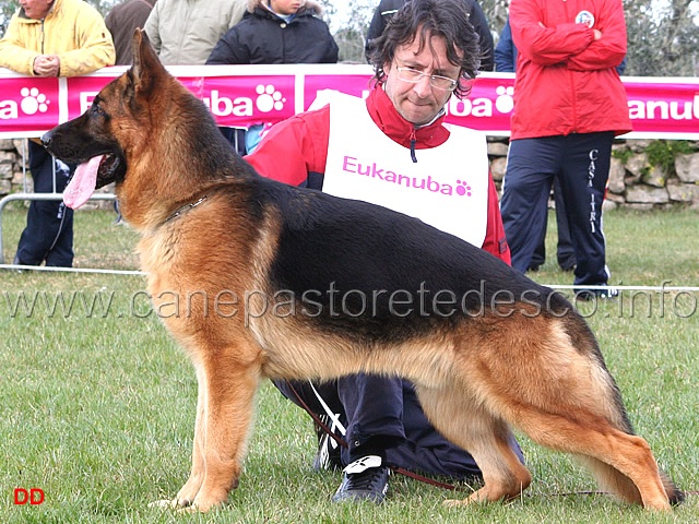 108.jpg - Giovanissimi maschi 5 Fritz dei Lotito