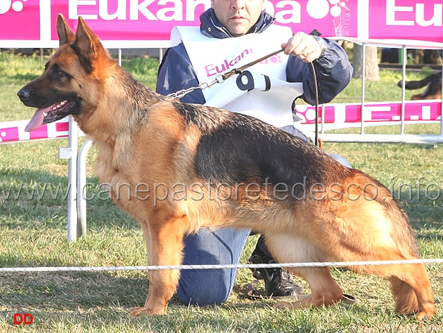 112.jpg - Giovani femmine 1 Maja d'Emil