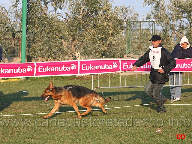 123.jpg - Giovani maschi