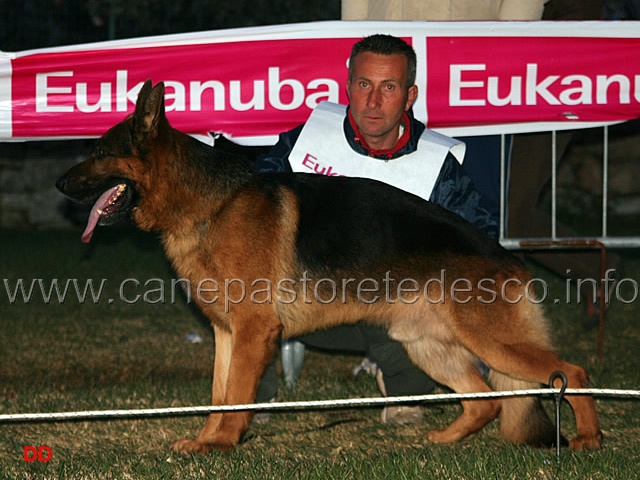 157.jpg - Adulti maschi 3 Owen del Rione Antico