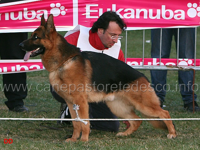 158.jpg - Adulti maschi 4 Indio degli Japigi
