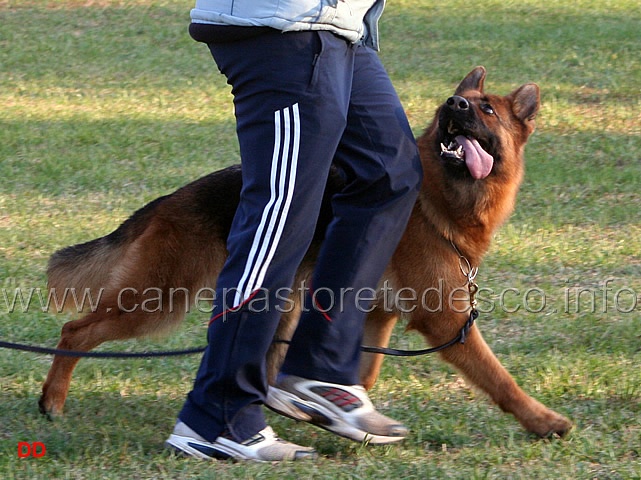 172.jpg - Blanka (della Gens Pontina) con Marco fuori dal ring