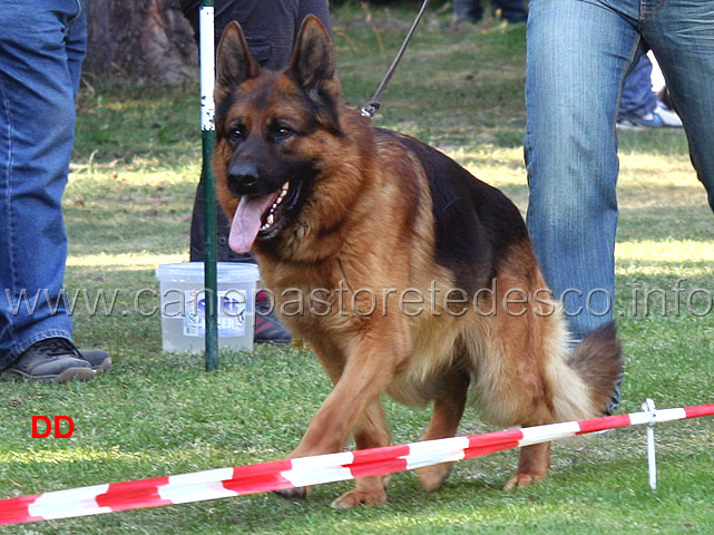 arex-von-der-wilhelmswarte.jpg - Arex von der Wilhelmswarte