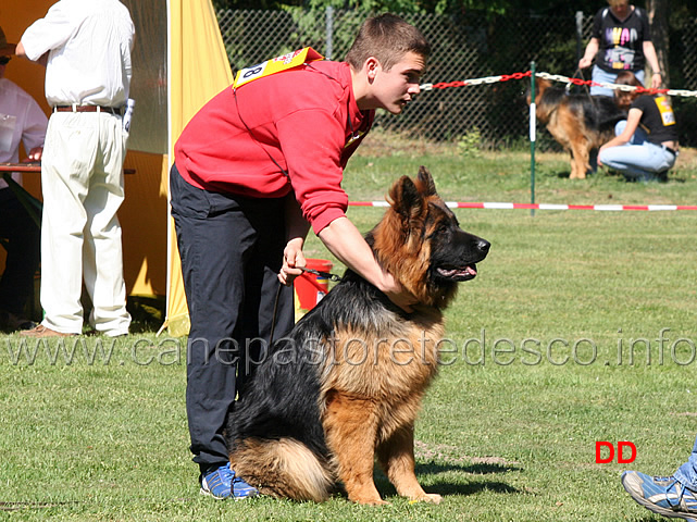 controllo-microchip.jpg - Controllo microchip