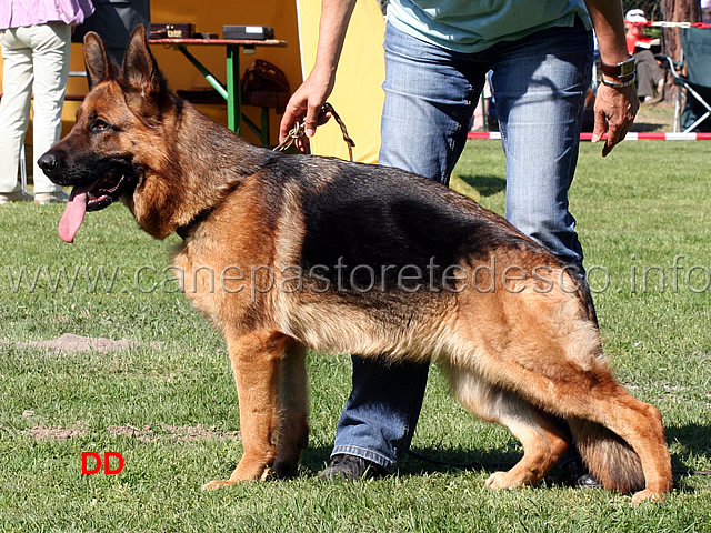 endy-du-val-d-anzin-09.jpg - Endy du Val d'Anzin SG 3 JKL H