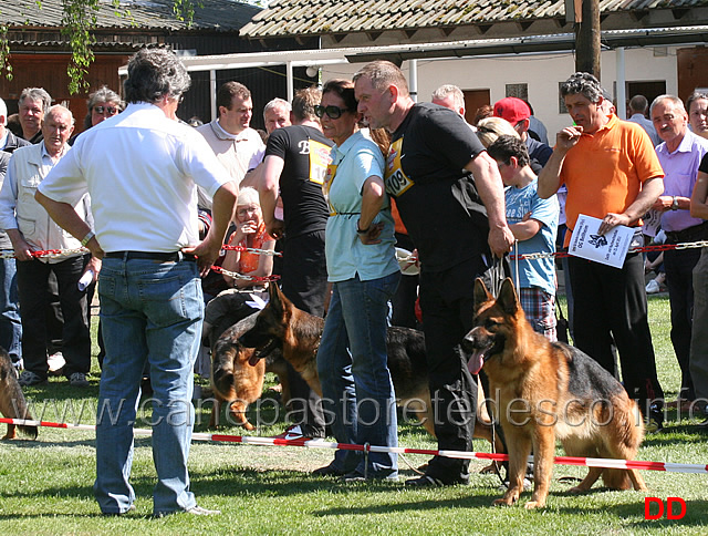 hans-peter-rieker-margit-van-dorssen-jurgen-manser.jpg - Momenti della gara