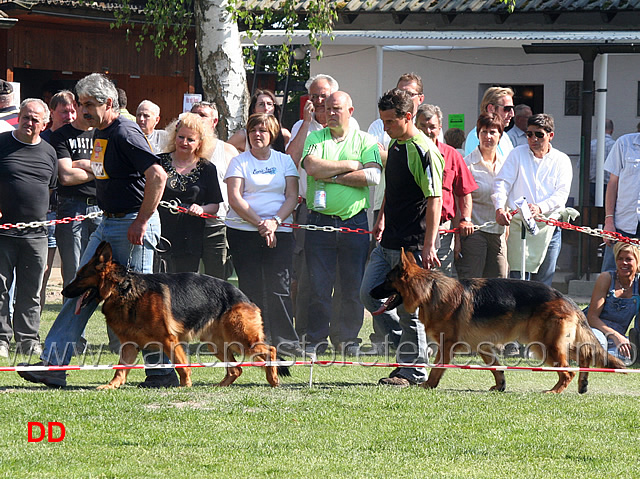 hatto-von-huhnegrab-e-hagadals-figo.jpg - Hatto von Huhnegrab e Hagadals Figo