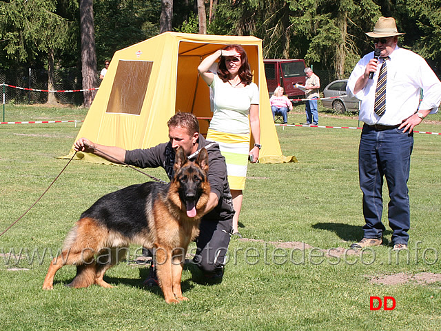 il-giudice-gunther-schwedes-commenta-la-classe-cuccioloni.jpg - Il giudice Gunther Schwedes commenta la classe cuccioloni maschi (Nero Ulmental vv1)