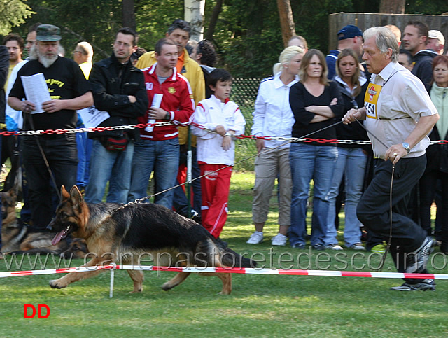 panja-vom-langenburgert-03.jpg - Panja vom Langenburgert