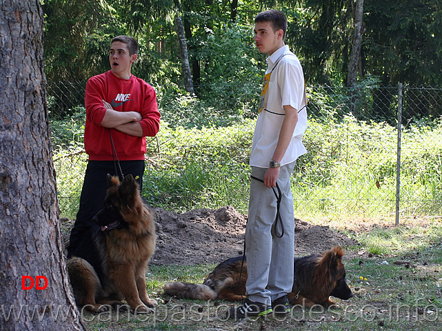 peloni-in-attesa.jpg - Peloni in attesa