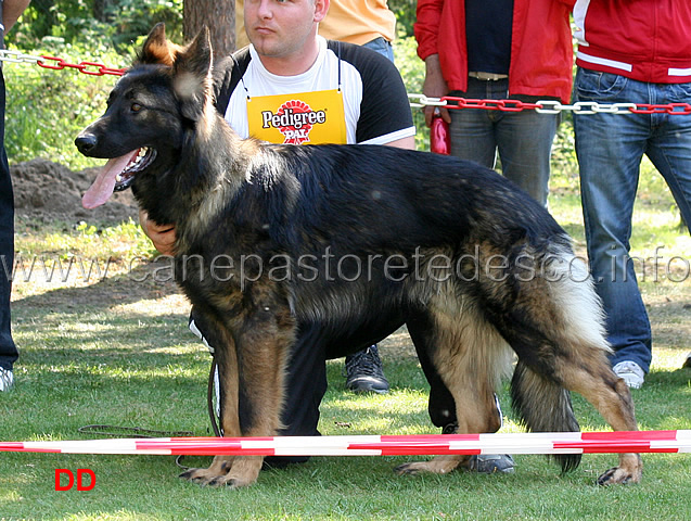 rambo-vom-schiffgarten.jpg - Rambo vom Schiffgarten 3 VV NWKL R Langst.