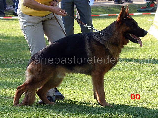 yoss-von-der-buchecke-02.jpg - Yoss von der Buchecke V 20 GHKL R