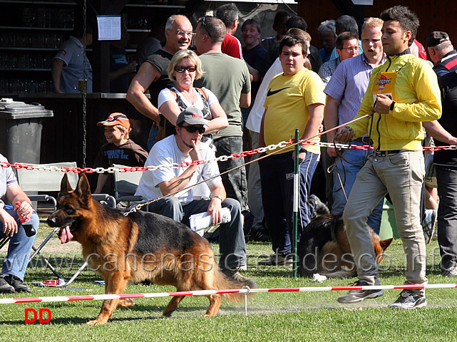 ziko-della-vignazzola-04.jpg - Ziko della Vignazzola