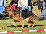 asia-di-camporeale-05