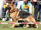 frau-di-zenevredo-08