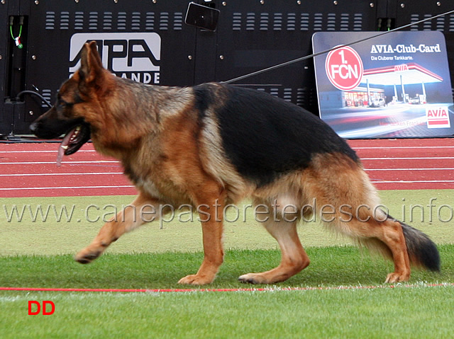 bix-von-arlett-02.jpg - Bix von Arlett V16 GHKL R
