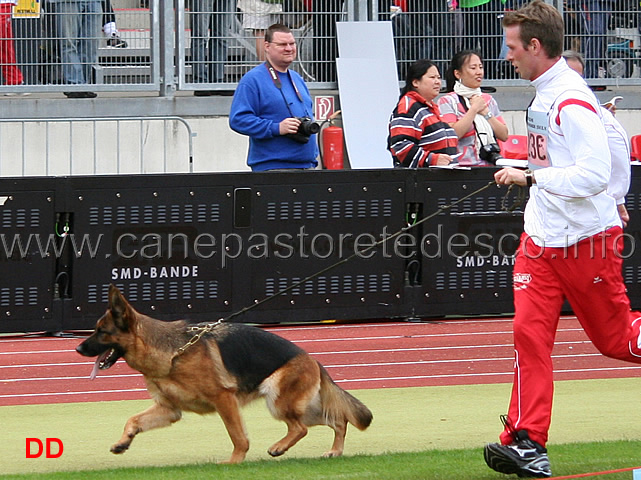 chakira-vom-pendler-03.jpg - Chakira vom Pendler VA1 GHKL H