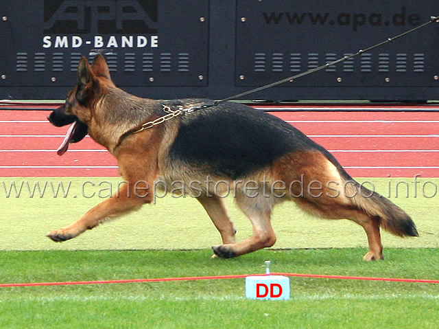 chakira-vom-pendler-04.jpg - Chakira vom Pendler VA1 GHKL H