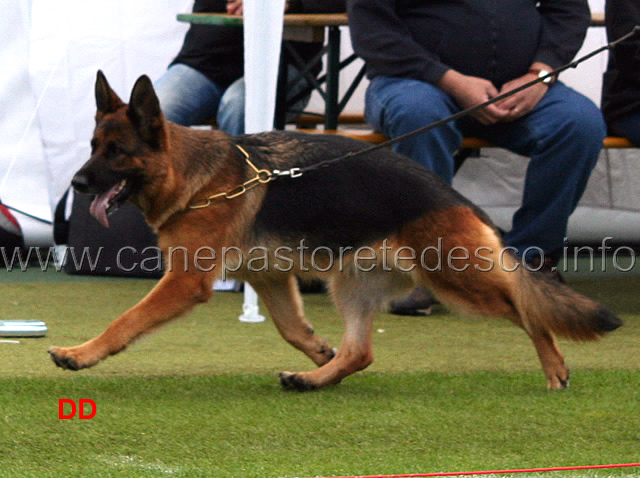 chakira-vom-pendler-05.jpg - Chakira vom Pendler VA1 GHKL H